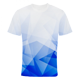 Vollsublimation